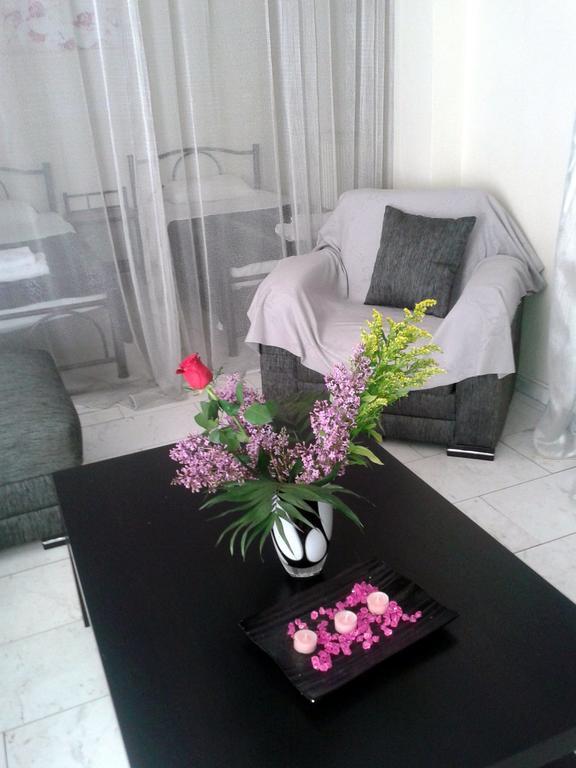 Estia Aparthotel Orestiada Rum bild