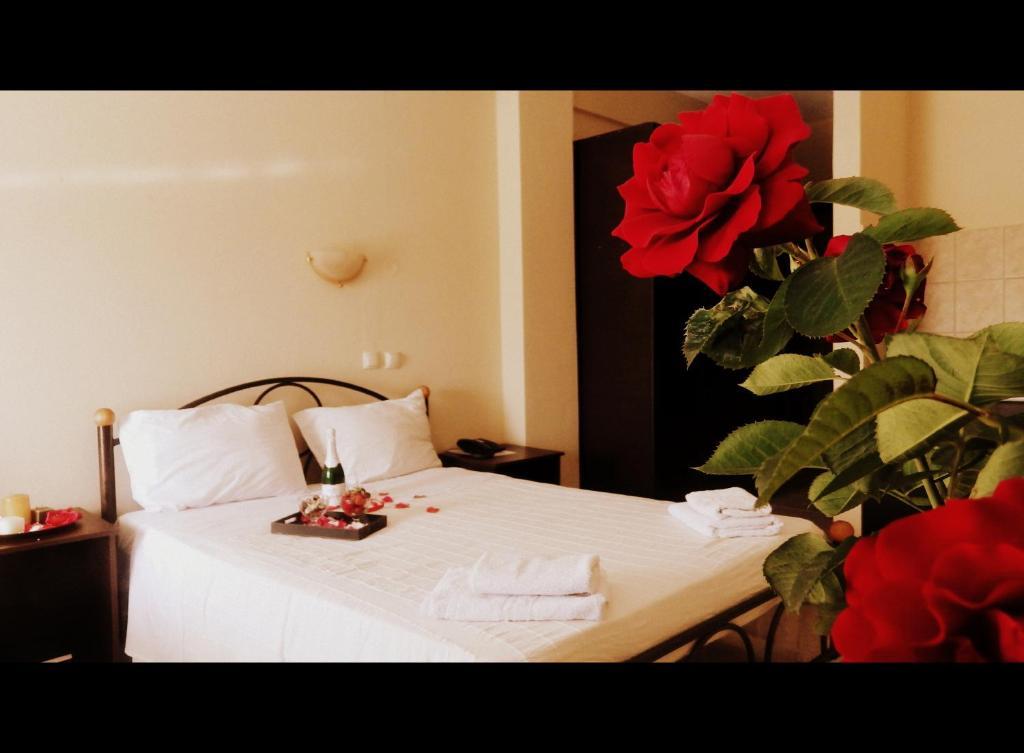 Estia Aparthotel Orestiada Rum bild